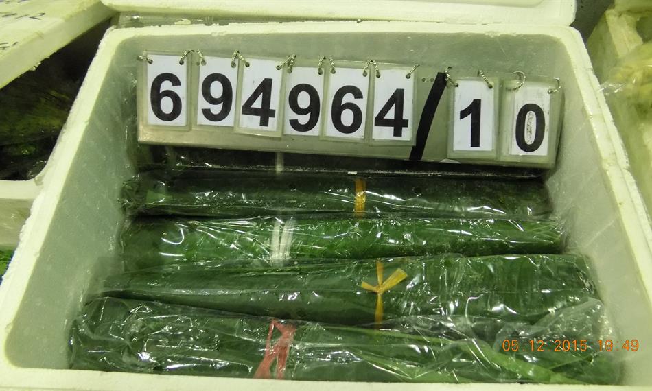 2015-12-8-953foto 8.JPG